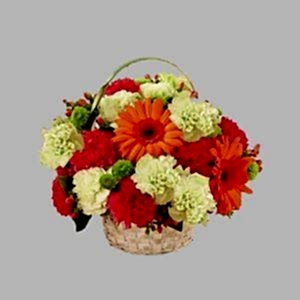 Karanfil Gerbera Aranjman