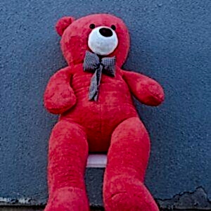 Peluş Ayı (160 cm)