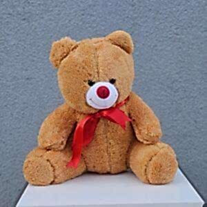 Peluş Ayı (35 cm)