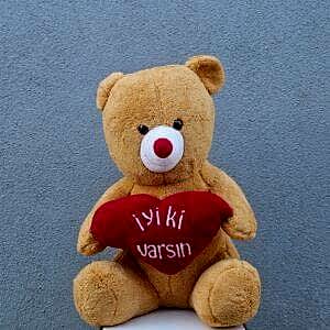 İyi Ki Varsın Peluş Ayı
